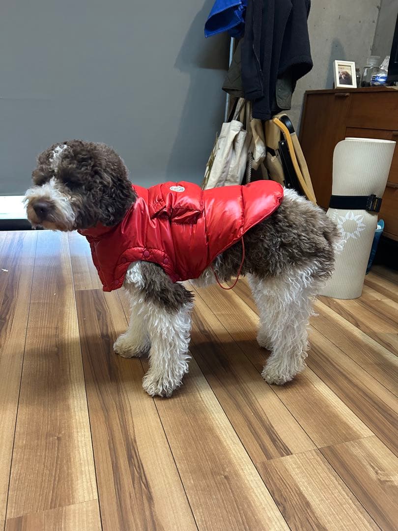 モンクレール犬用ダウンジャケット格安出品