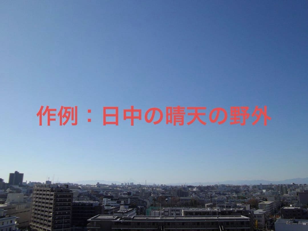 【動作確認済】PENTAX ペンタックス Optio RS1000 レトロカメラ