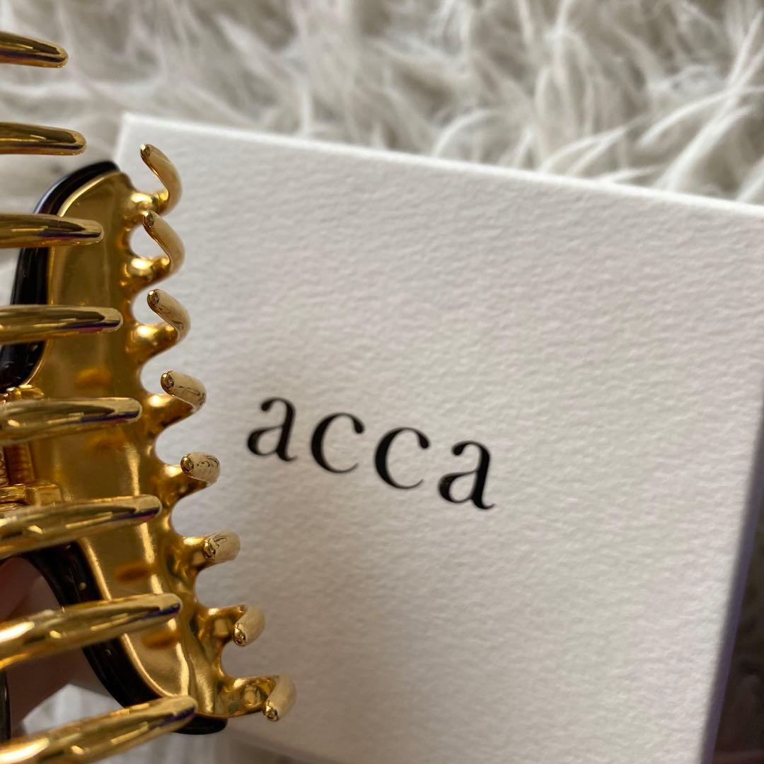 ハル猫・プロフ必読完売品　acca クリスタルリーブスクリップ