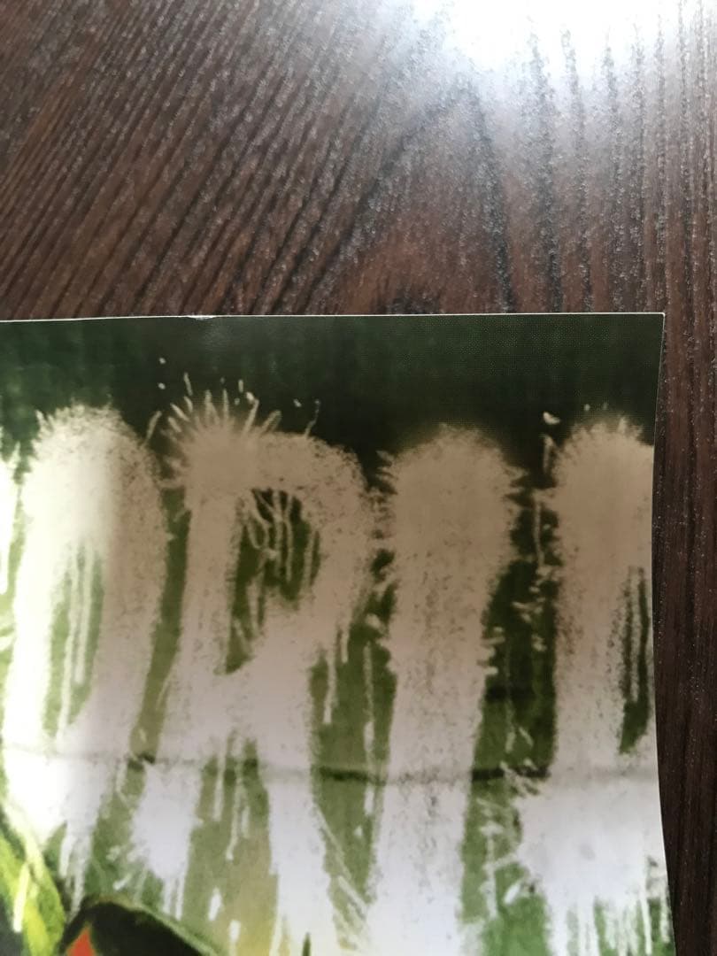 VAMPS UNDERWORLD ポスター