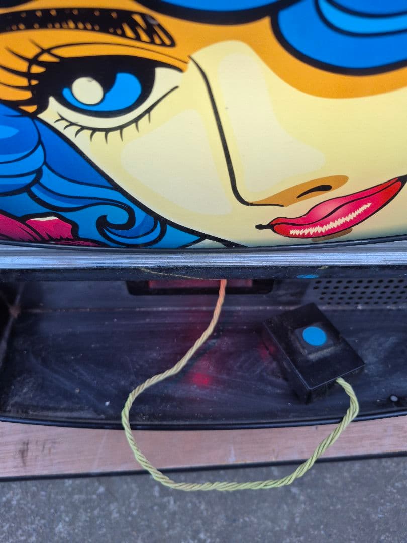 赤*目様 ビッグシオ30 実機　不要機