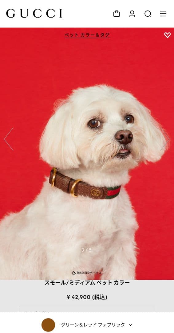 【新品未使用】Gucci スモールペットカラー