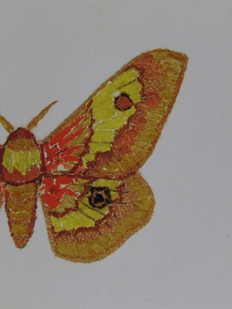 山下清、【蛾】、希少な額装用画集より、美品、日本人画家、新品額装付