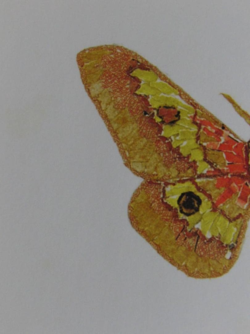 山下清、【蛾】、希少な額装用画集より、美品、日本人画家、新品額装付