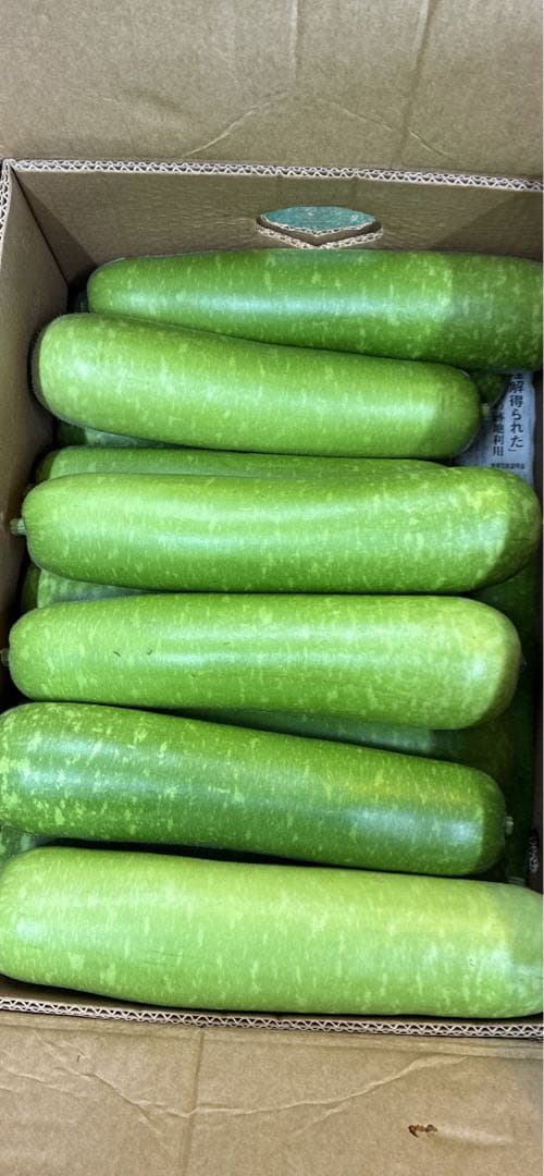 新鮮 なユウガオ19キロ