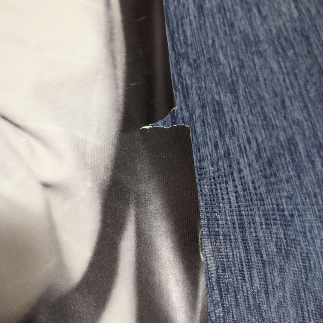 エルビスプレスリー　ポスター2枚セット