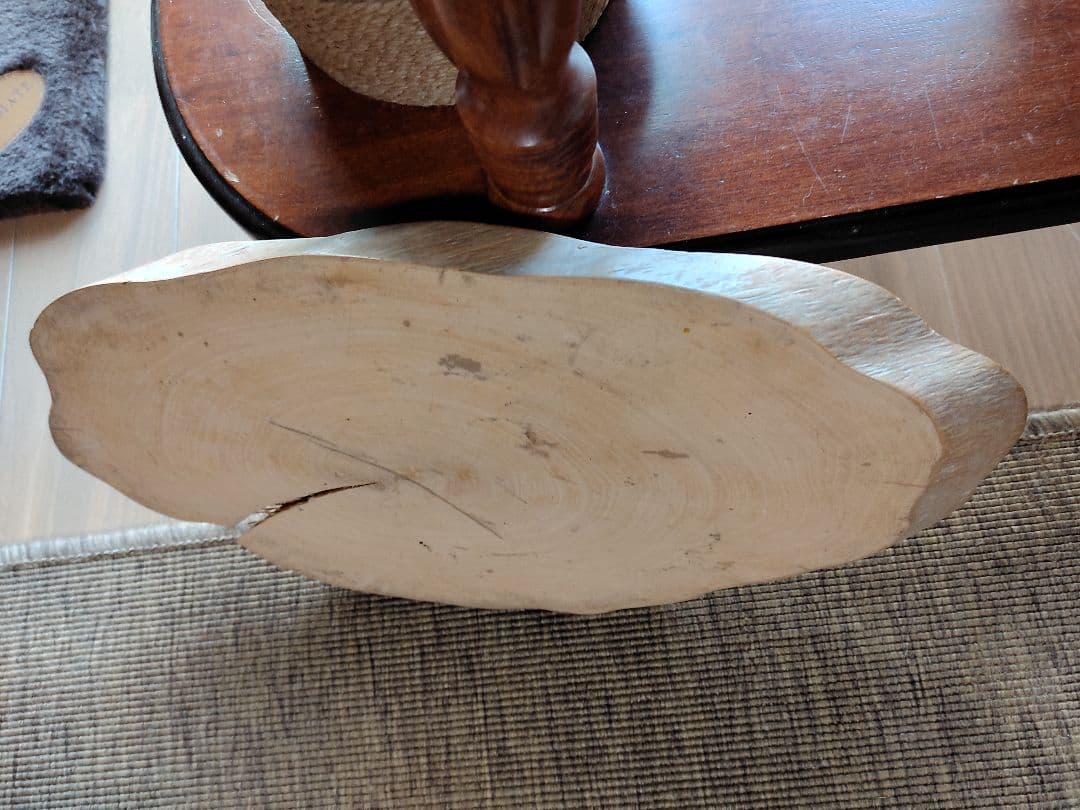 多分　柘植の年輪板