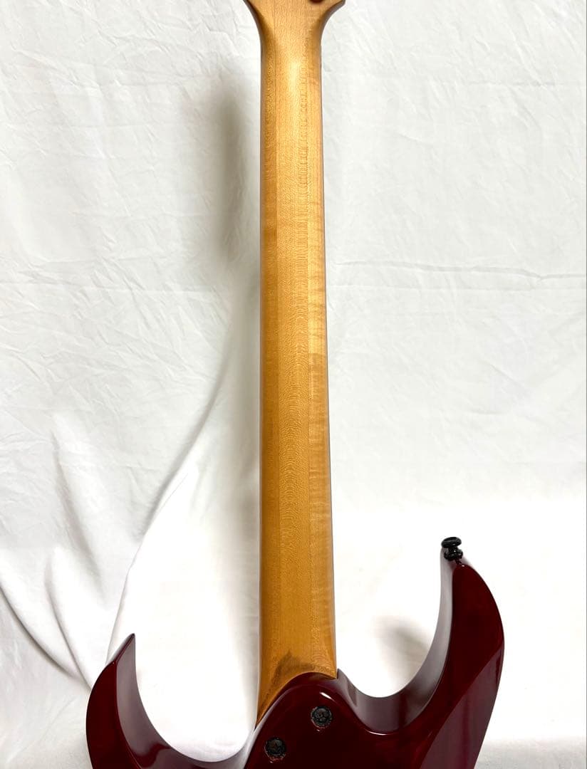 【新品弦張替済】Ibanez エレキギター SRG420FMZ