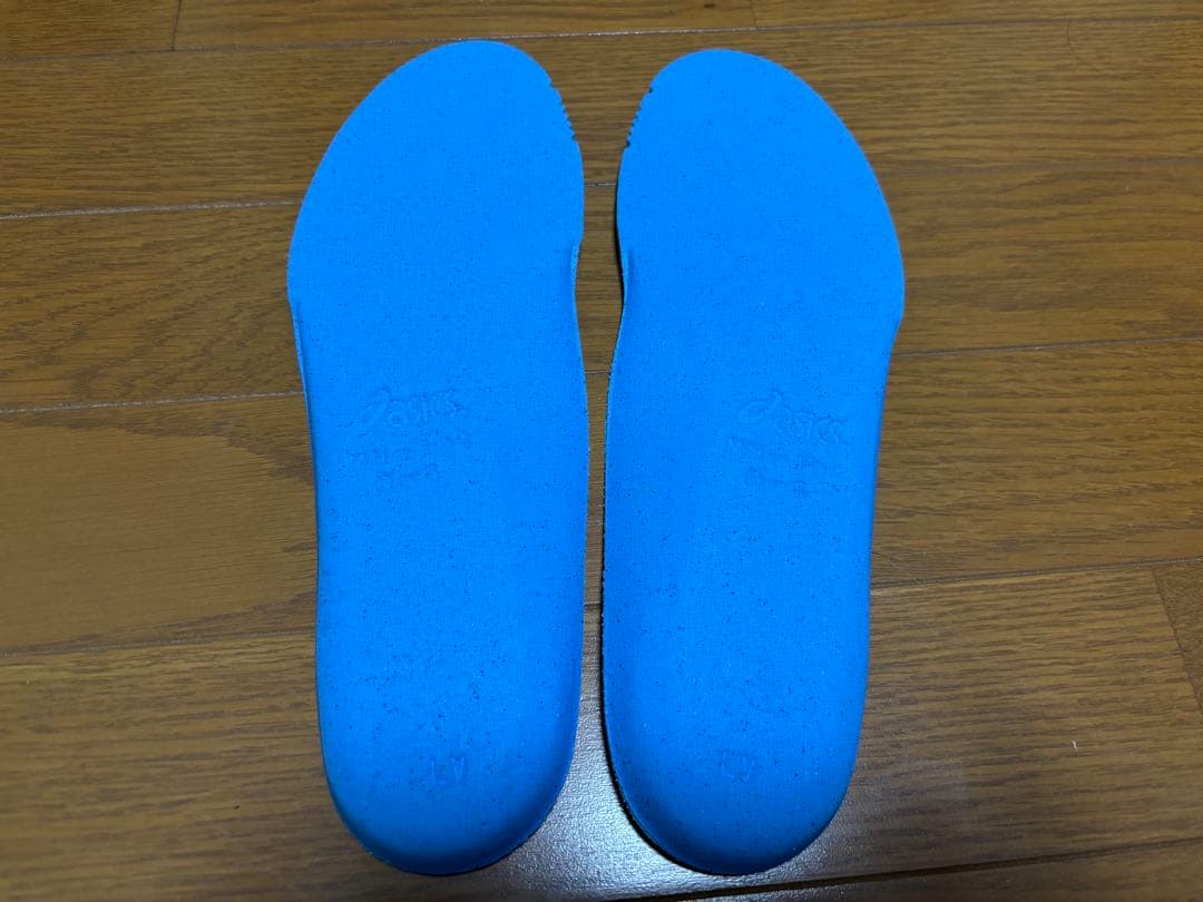 rise メタライズ asics バレーボールシューズ 27.5