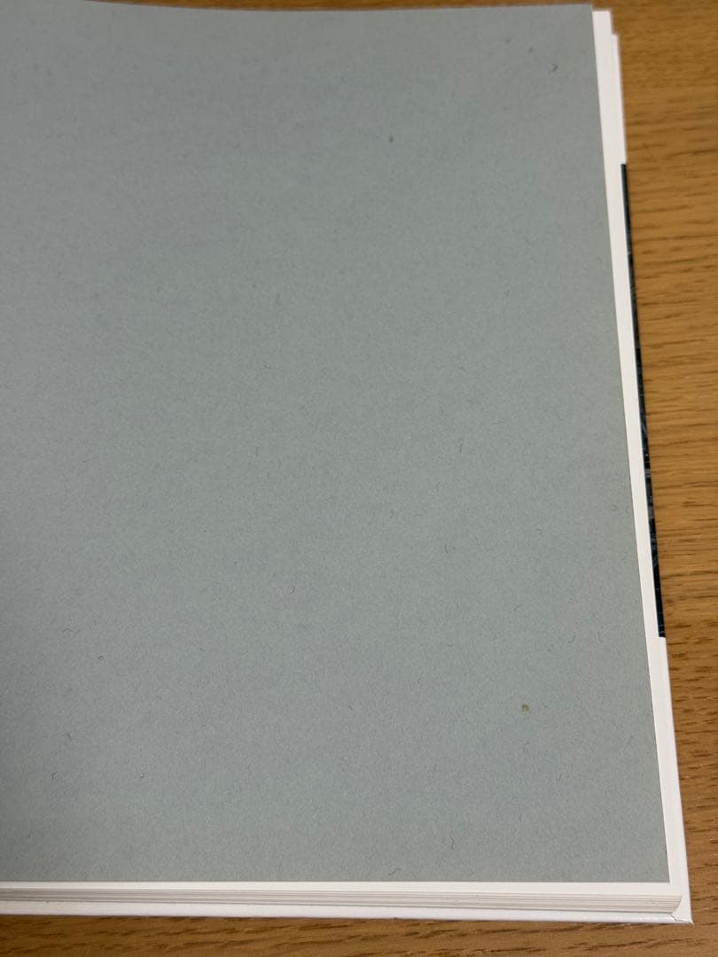 NAOYA HATAKEYAMA | 畠山直哉 | HATJE CANTZ