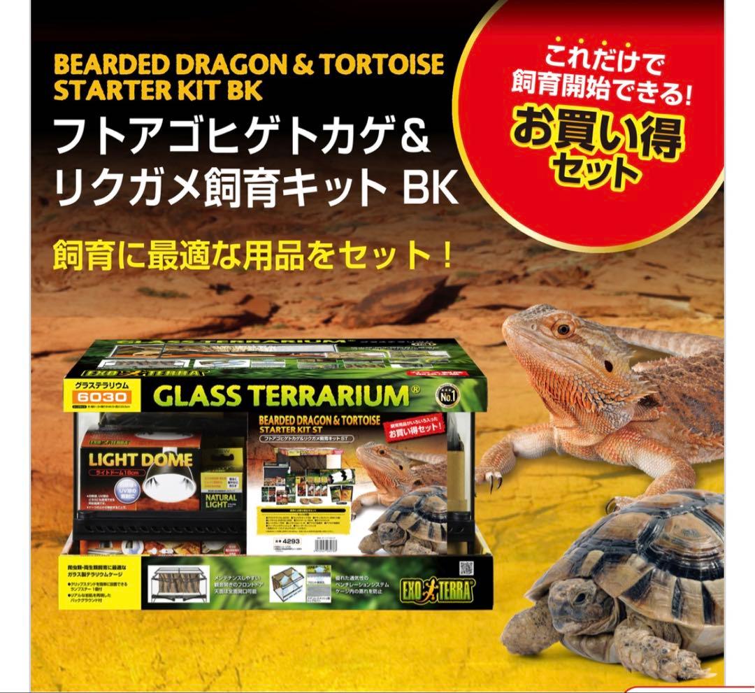 GLASS TERRARIUM 6030 飼育セット