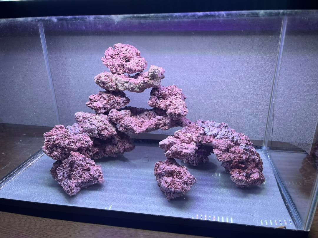 人工ライブロック　60cm水槽ぴったりセット