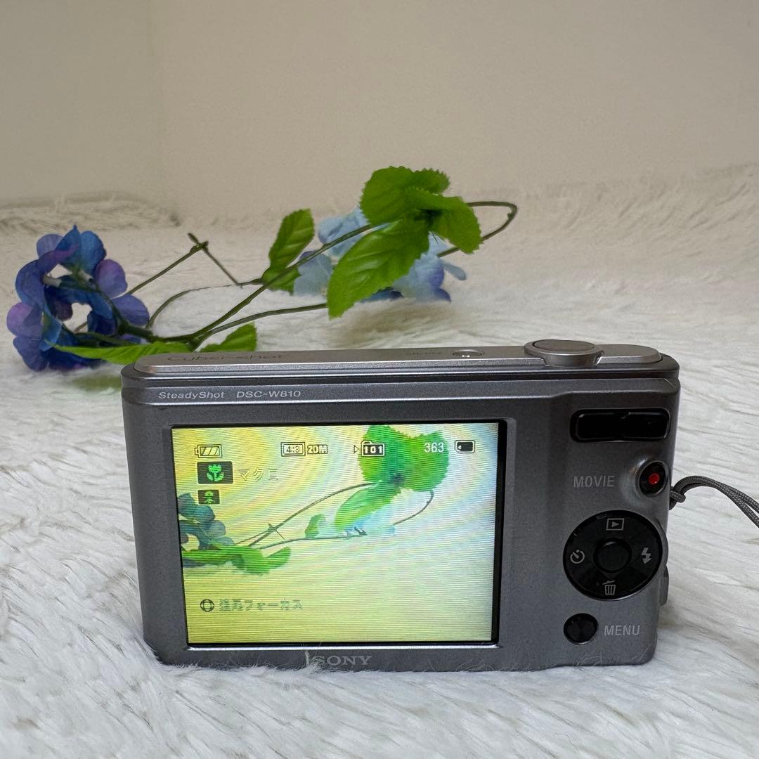 SONY cyberShot DSC-W810 SDカード　コンデジ　動作品
