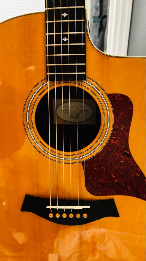 214ce DLX ES【Taylor】 アコースティックギター