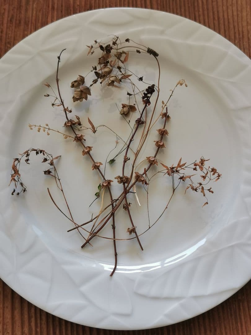 アンティーク/ヴィンテージ 仏リモージュ リーフレリーフ 30㎝ディナープレート