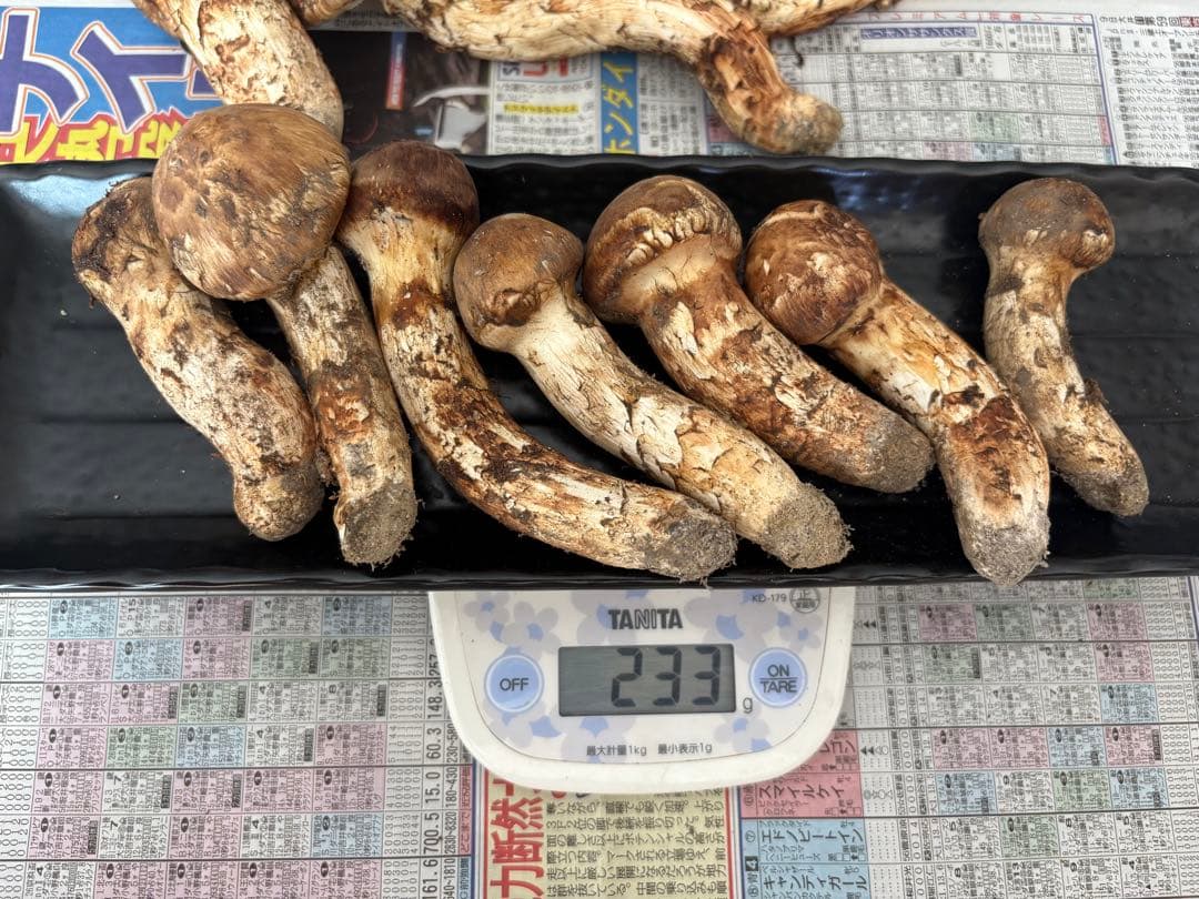 しげる様　依頼品