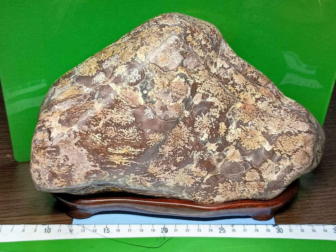 （b-68）白山紋石（参考）