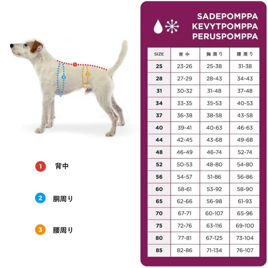 ポムッパ　ペルス　ペトロール　サイズ65