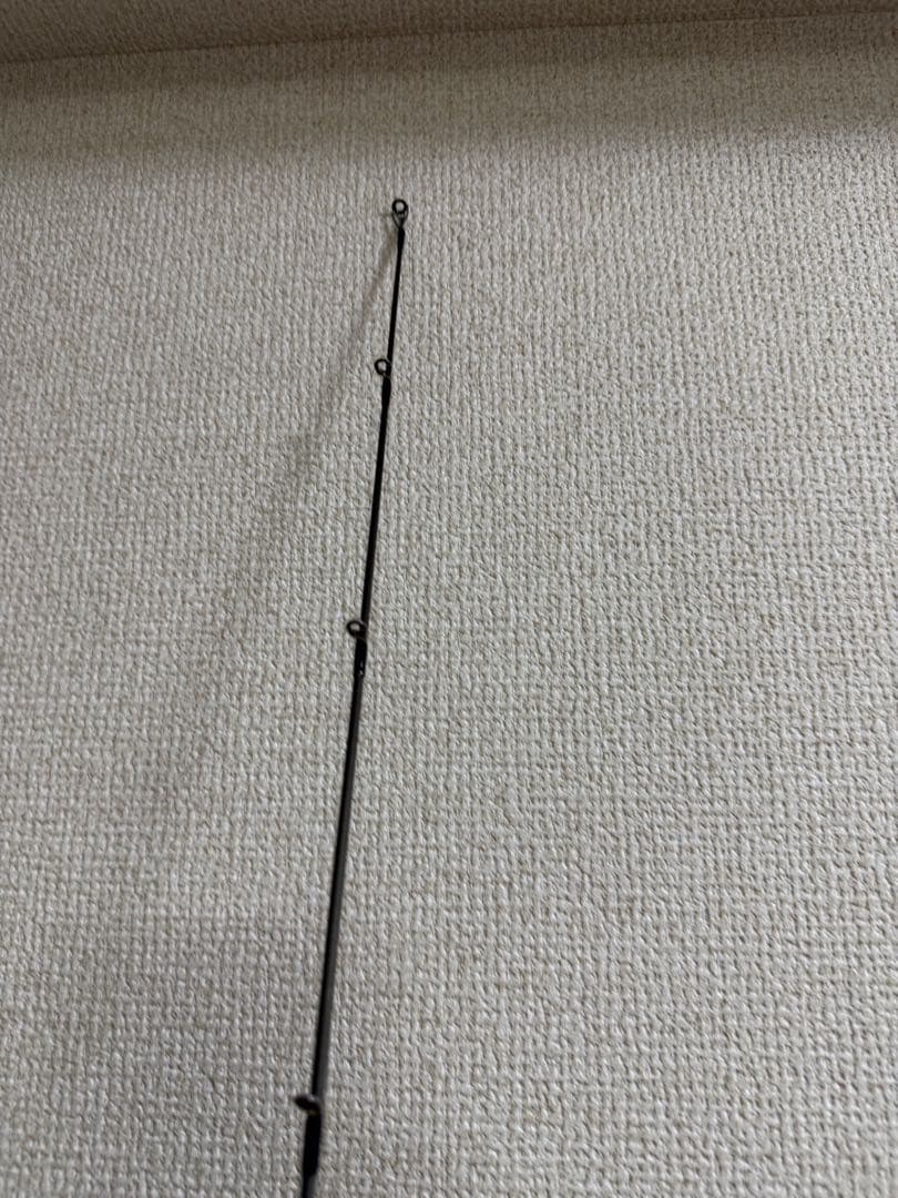 エバーグリーン　オライオン　カンタータ