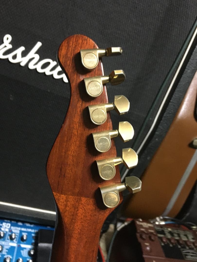 Apx8s 雑gold塗装 究極の改造！アコギ・エレキ化　調整済は動画！