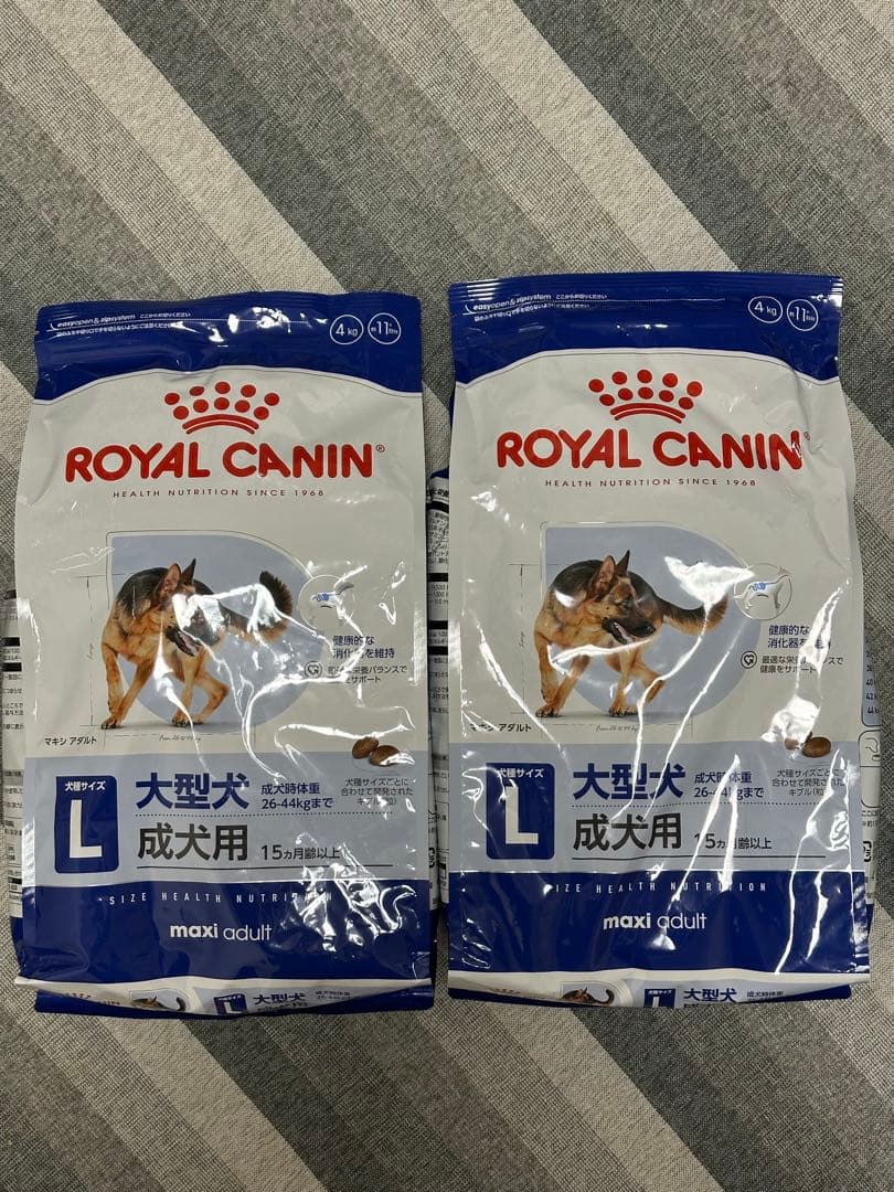 哲　 CANIN 中•大型犬用 ドライフード4キロ✖️4袋