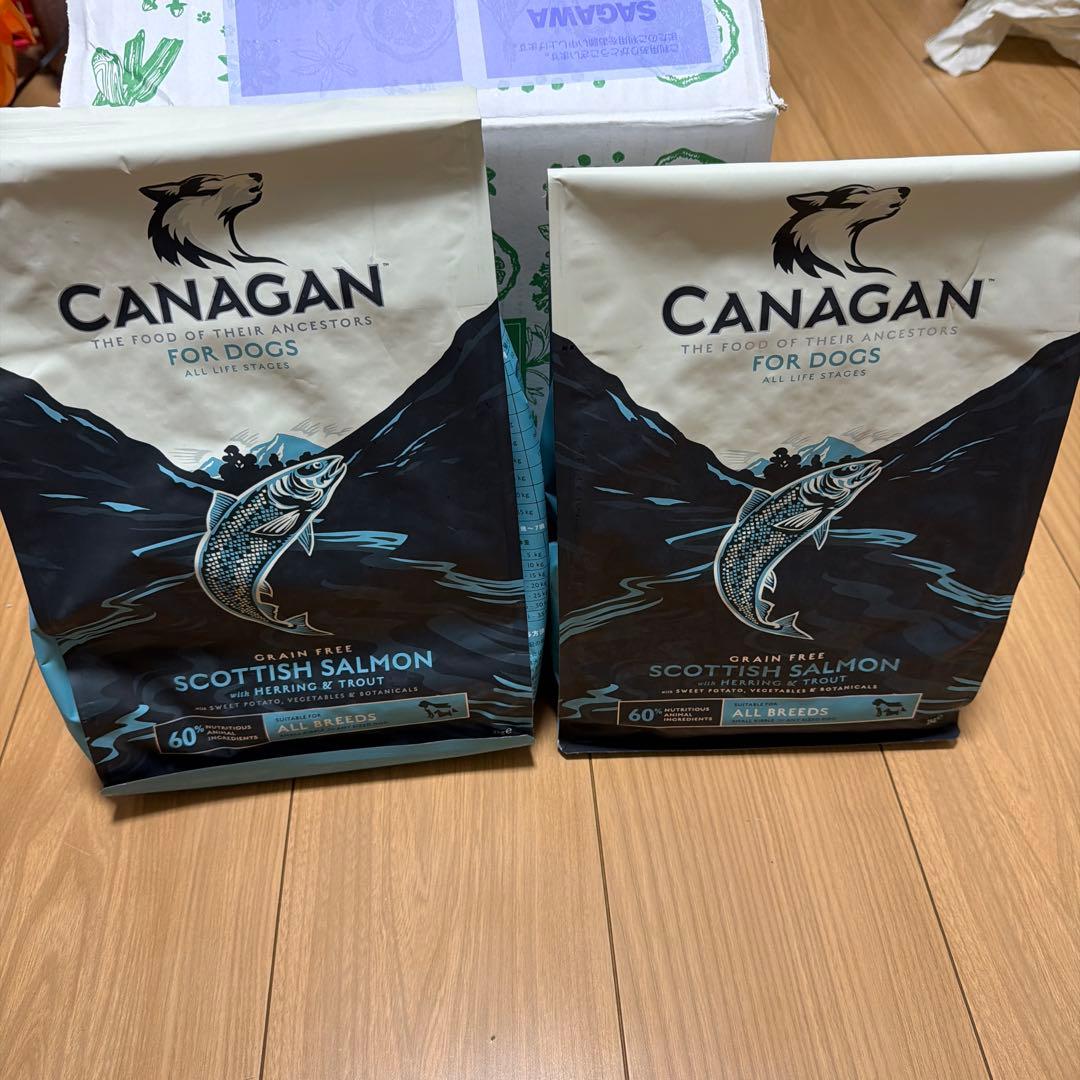 CANAGAN スコティッシュサーモン 2kg グレインフリー 2袋