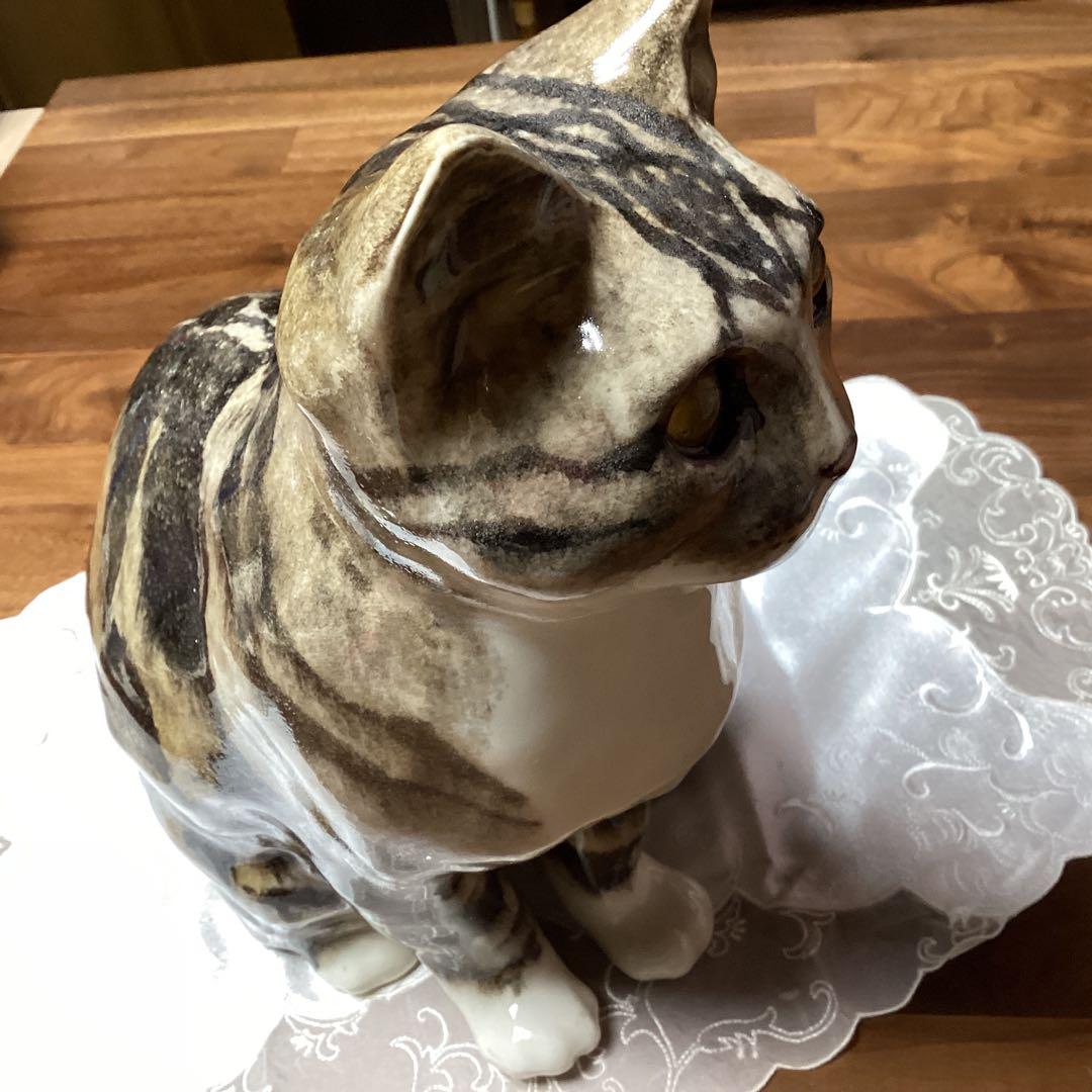 ウィンスタンレーキャット、ケンジントンキャットサイズ6の大きな猫