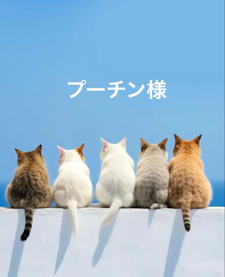 プーチン様ꔛ‬ෆジョリーフルール(´˘`＊)マイリトルテイラー·͜·ᰔᩚ