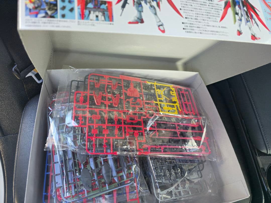 新品未開封 MG 1/100 デスティニーガンダム