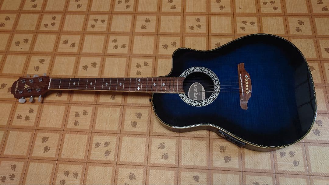 アコースティックギター ARIA amb-45