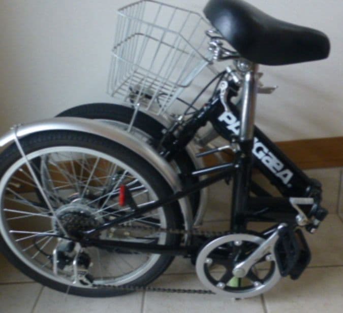 PANGAEAロビンソン20 折りたたみ自転車 ブラック