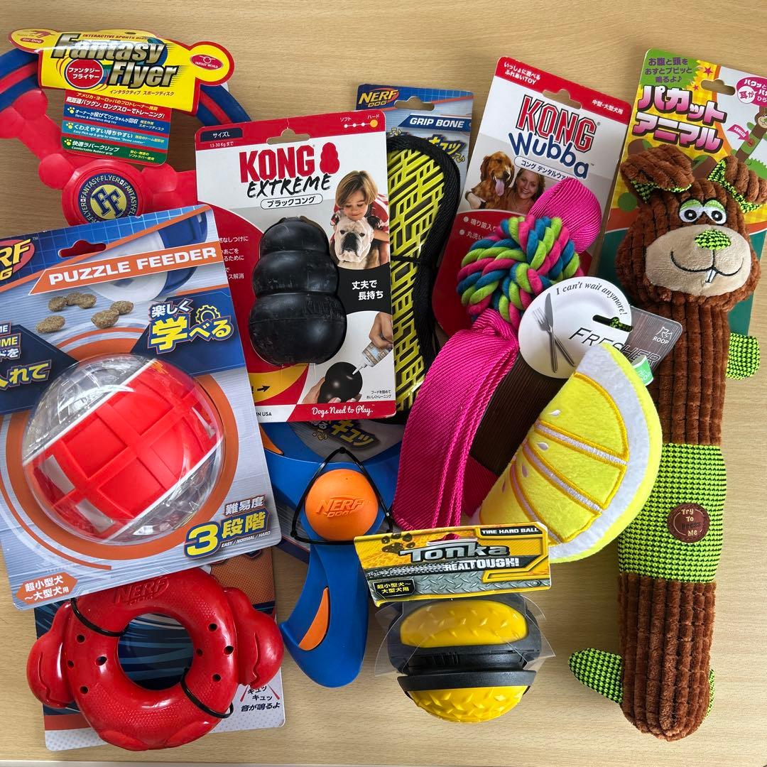 犬のおもちゃ　10個セット　大型犬　中型犬　KONG ナーフドッグ　フリスビー