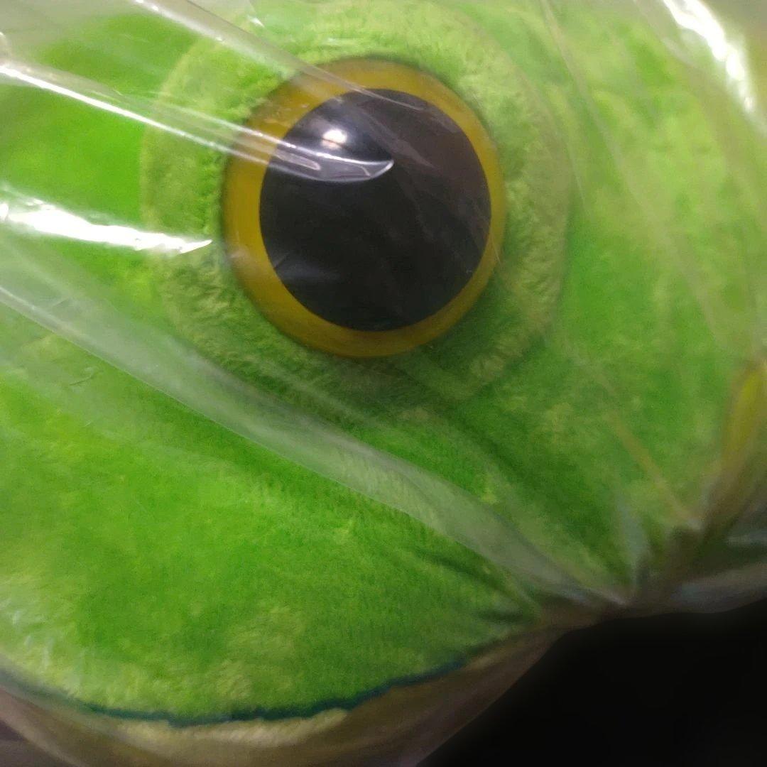 【レオパのきいちゃん】なかよし るんるん気分 ウルトラBIG JB ぬいぐるみ