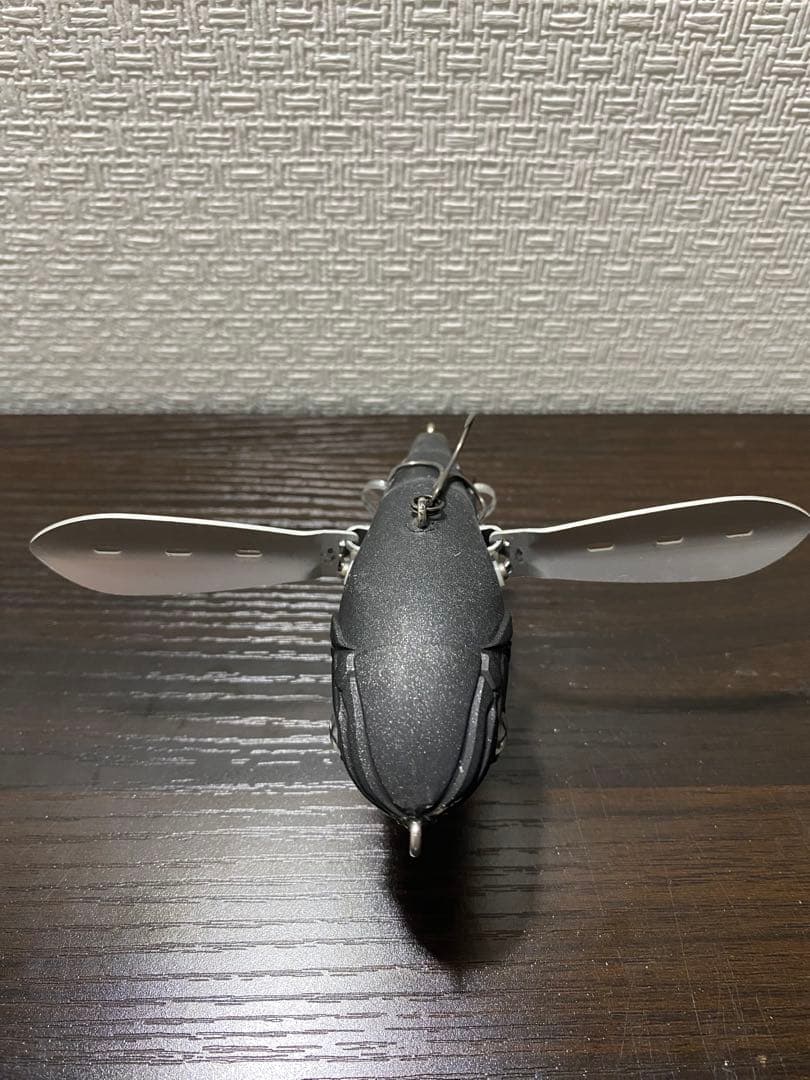 タエニア　TAENIA