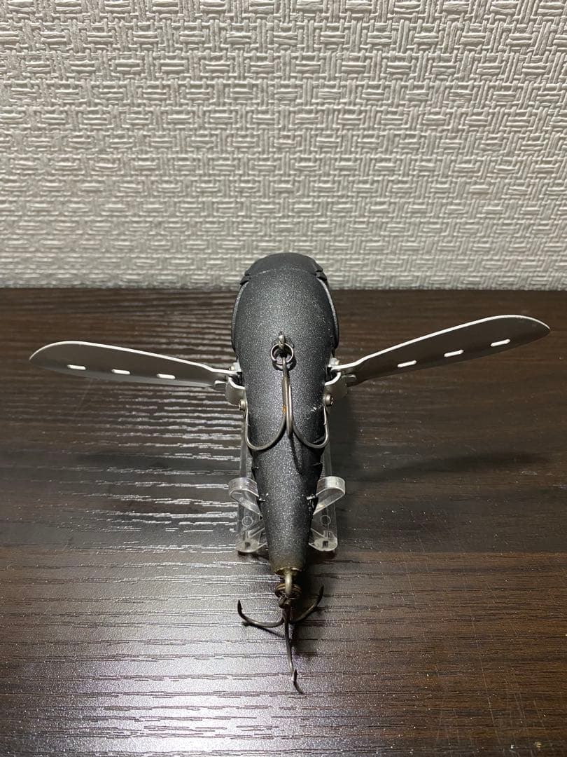 タエニア　TAENIA