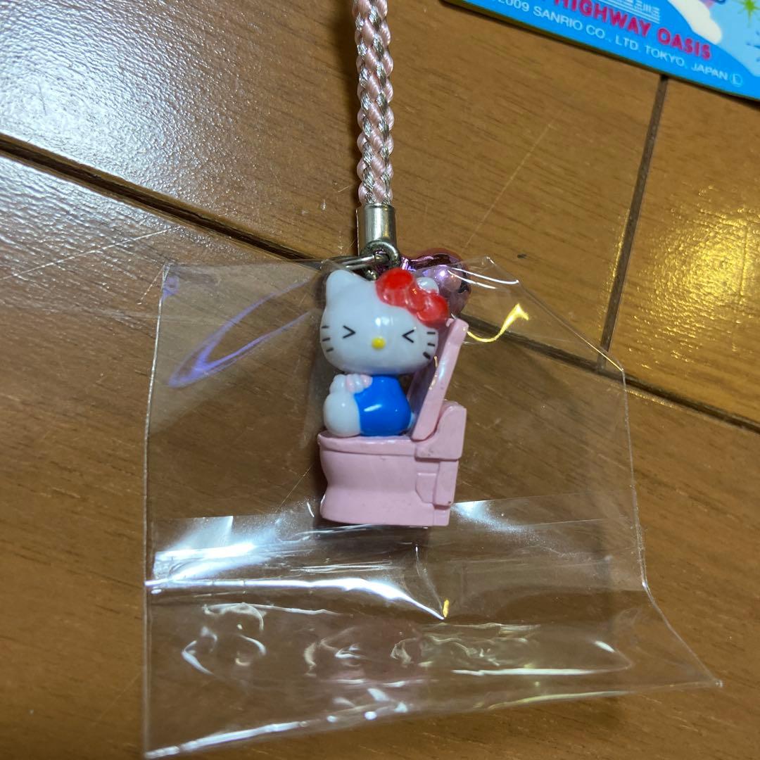 レア　ご当地キティ　デトックストイレ