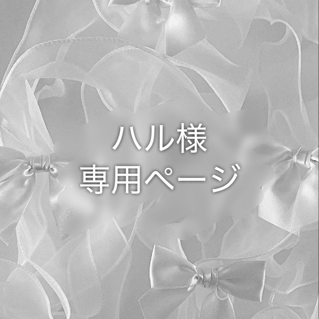 ロルバーンプロテクター