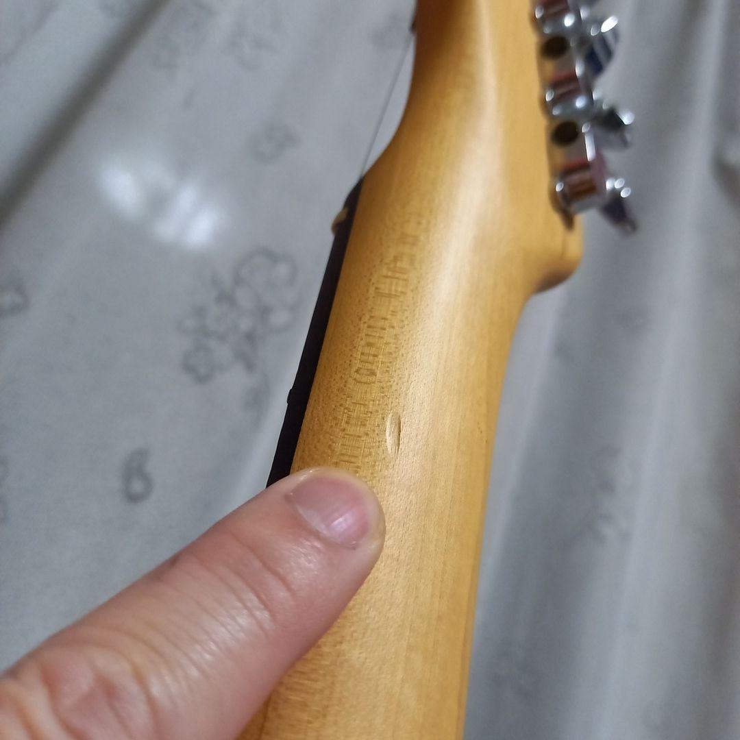 Bacchus Universe Series テレキャスタータイプ