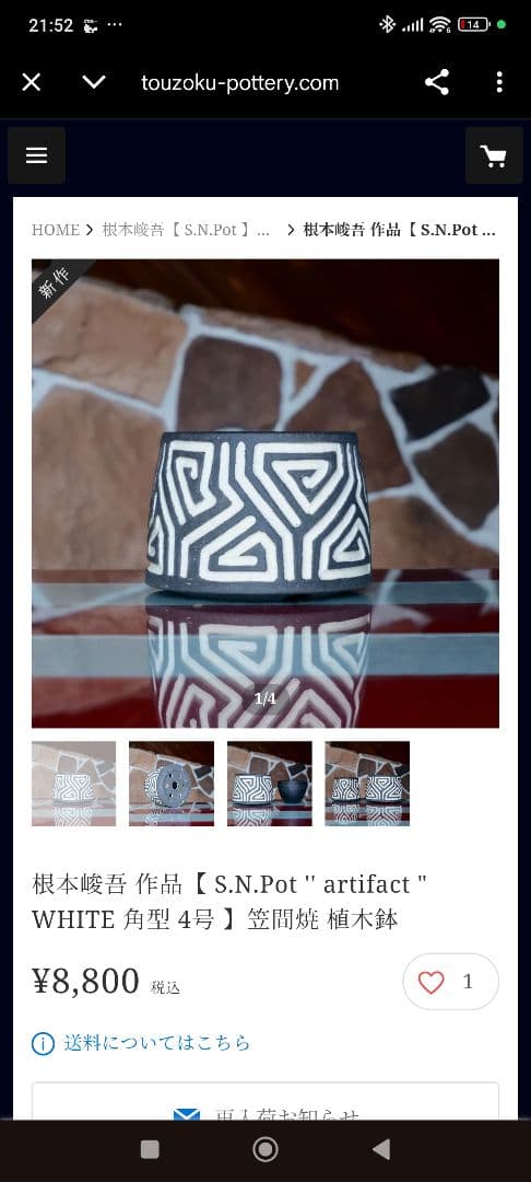 〜大幅値引き中〜根本峻吾 陶器鉢 鉢 アガベ 塊根 灌木等