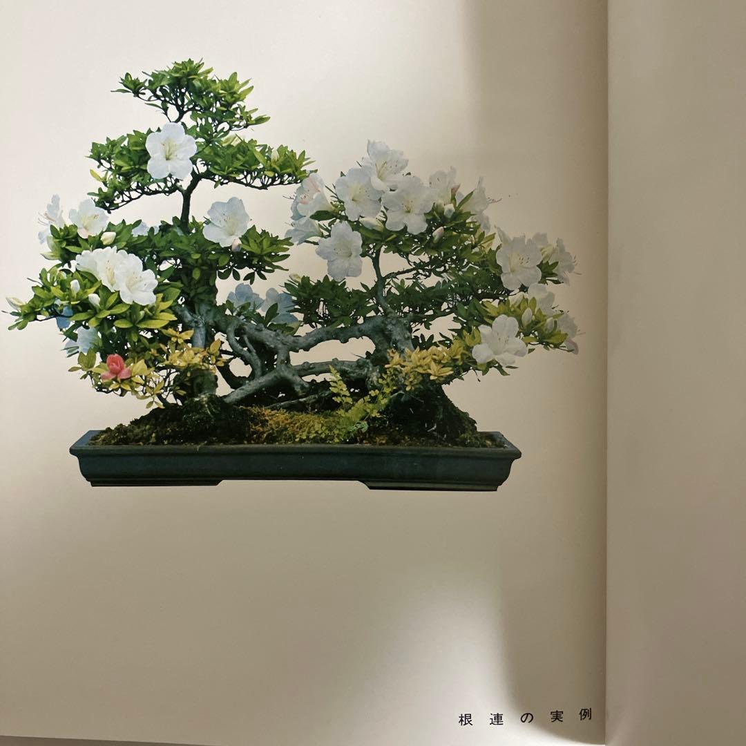 高等教範　盆栽の基本樹形　上下巻　中津千吉