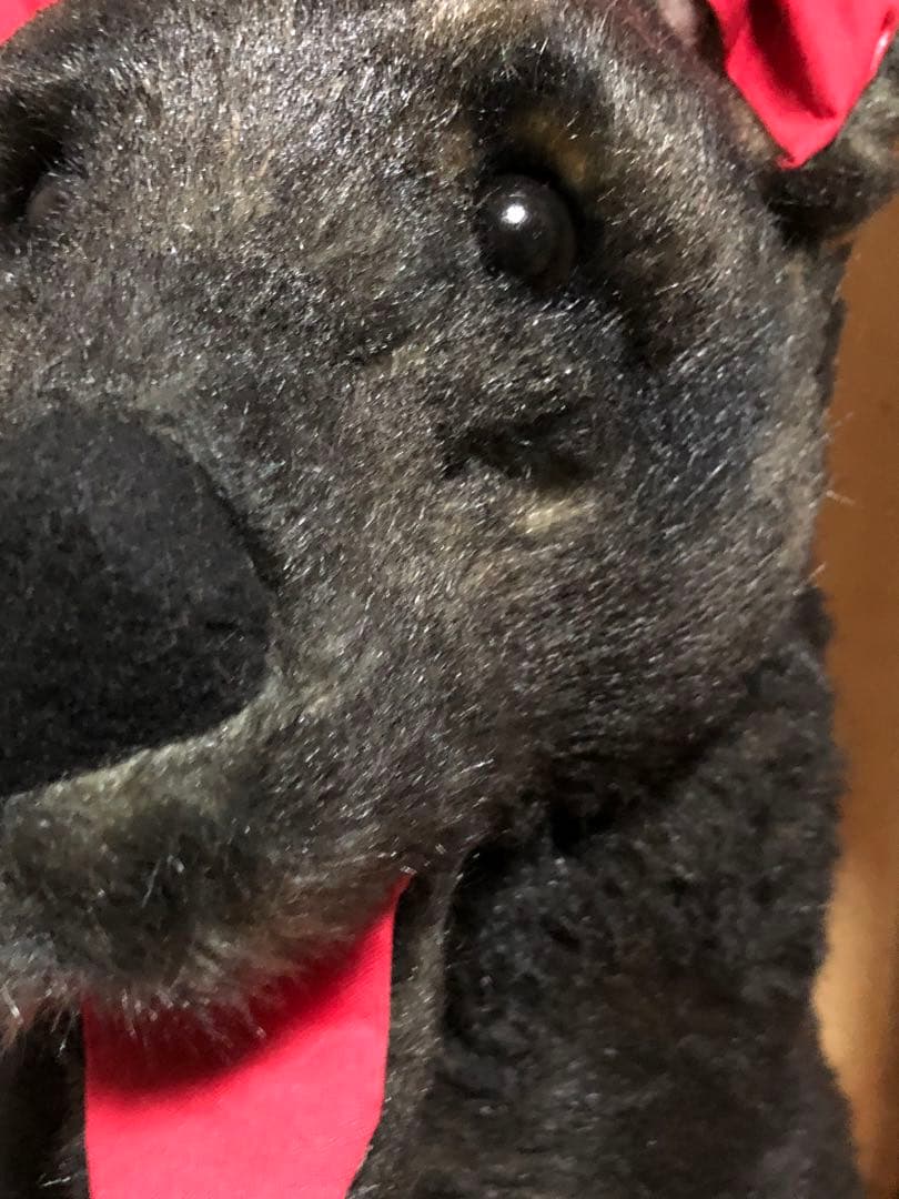 ☆大特価☆大型犬ぬいぐるみ 黒