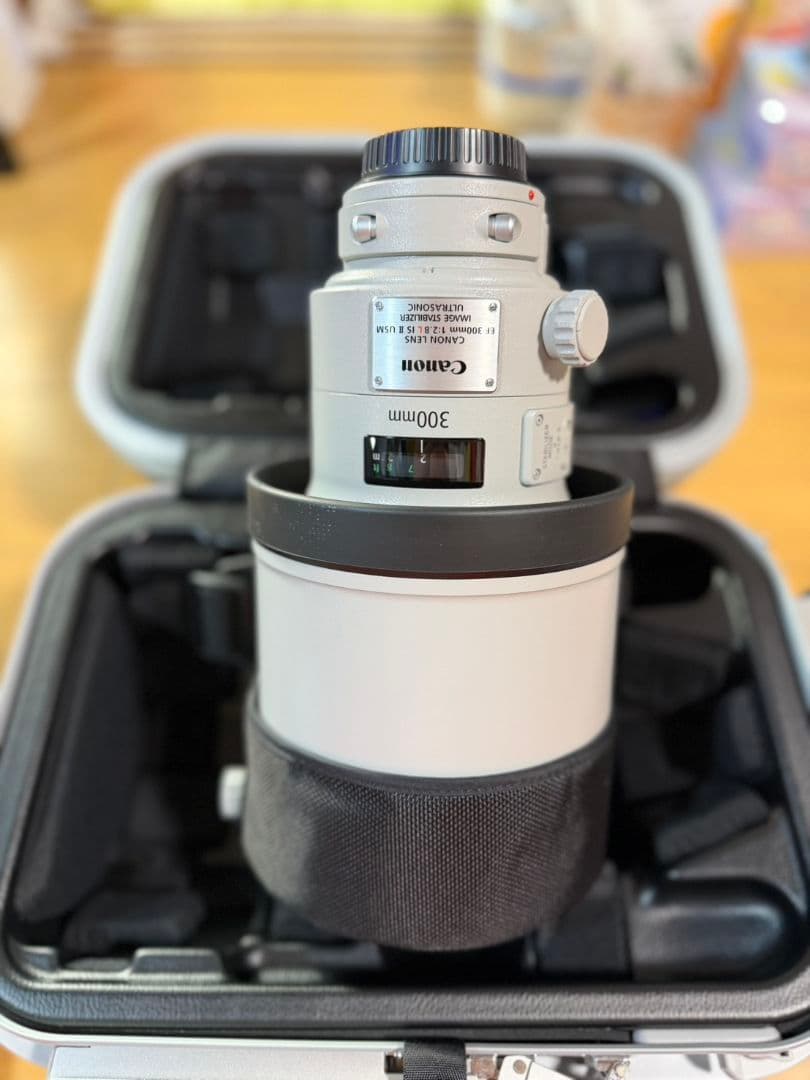 Canon EF300mm F2.8L IS II USM」
