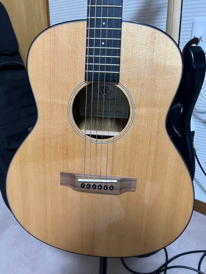 SX SS760E アコースティックギター　エレアコ