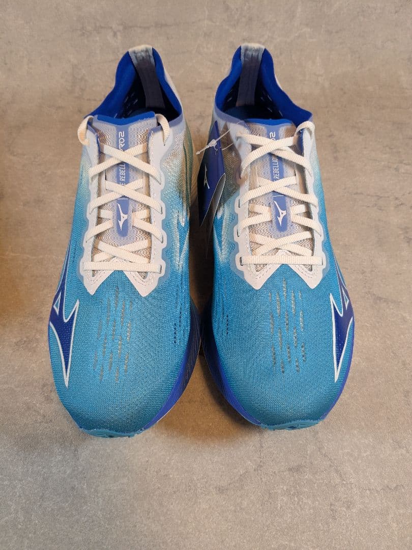 ミズノ MIZUNO メンズ ランニングシューズ ウエーブリベリオンプロ2