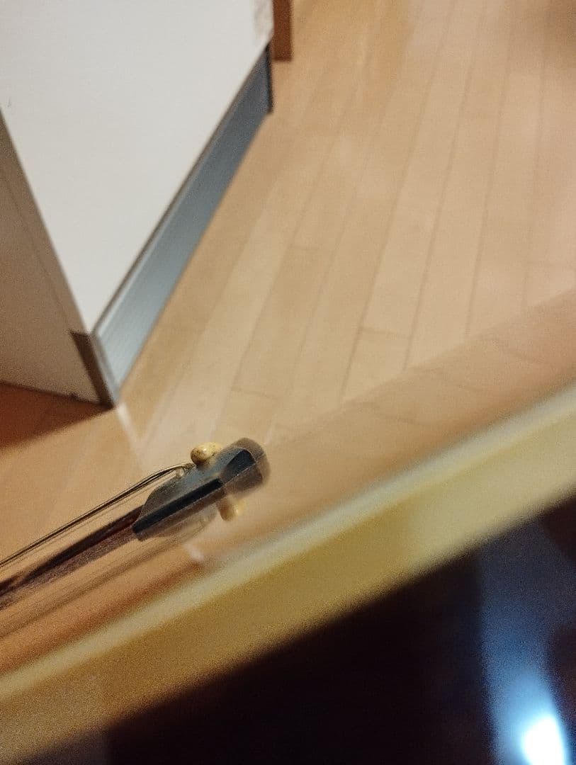 マウンテン＜W-450＞日本製・林楽器製作・トップ単板 guildタイプ