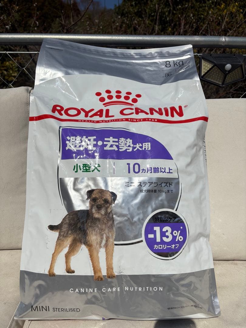 ロイヤルカナン ミニステアライズド 小型犬 10ヵ月齢以上 8kg