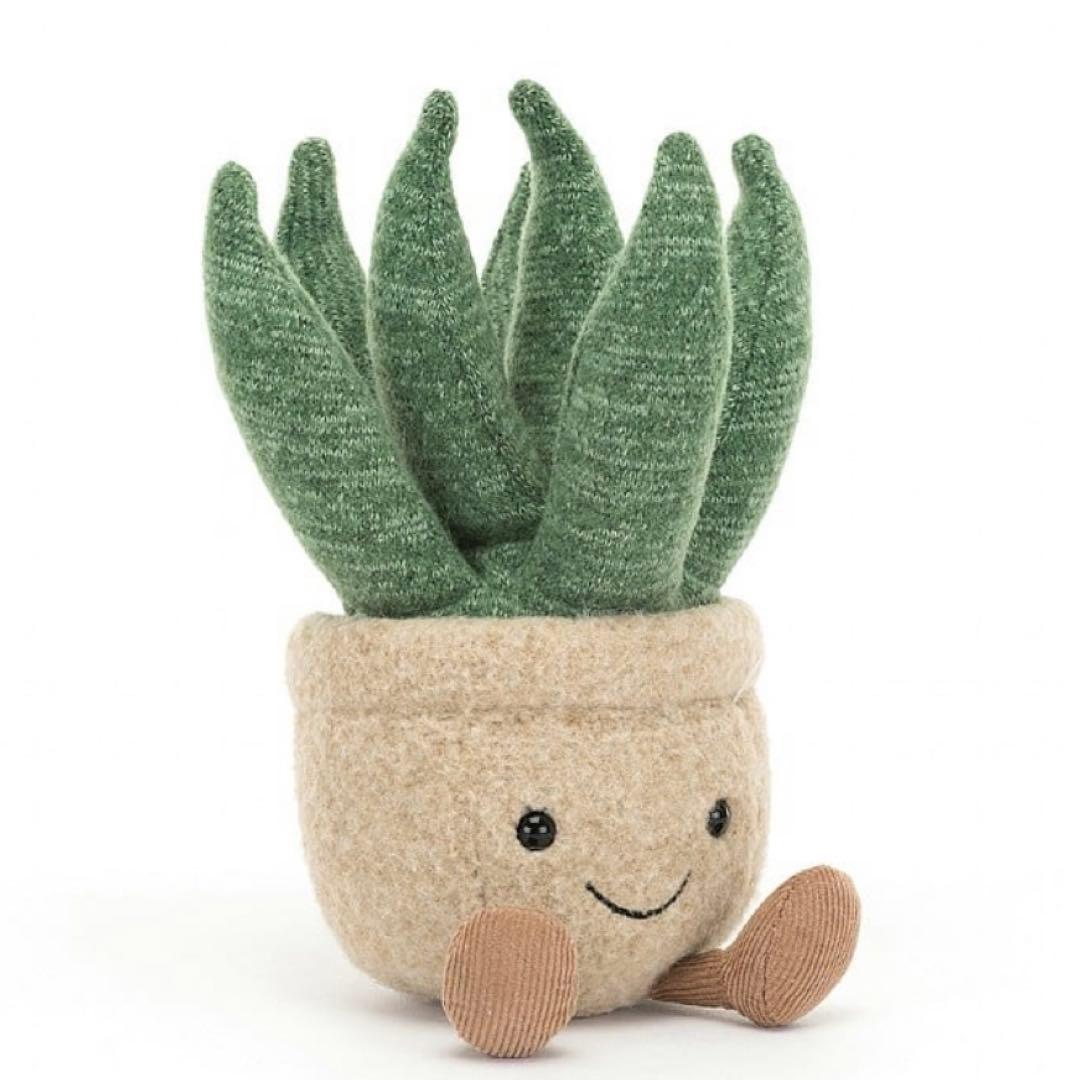 廃盤　新品　ジェリーキャット　アロエ　植物　多肉植物　アロエベラ　観葉植物　緑