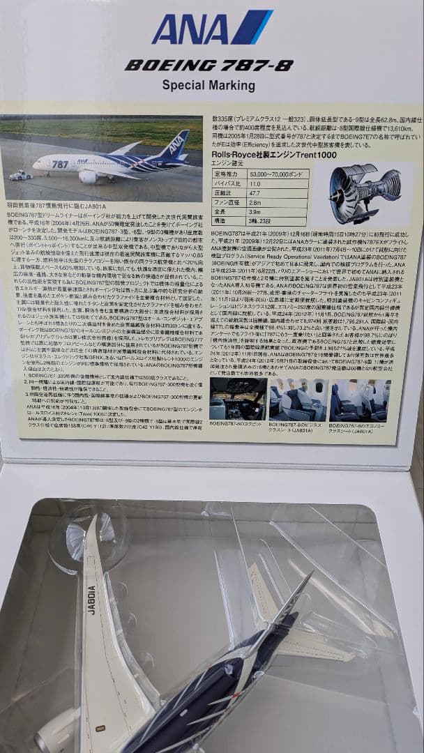 ANA Boeing 787-8特別塗装1/200 JA801A NH20053