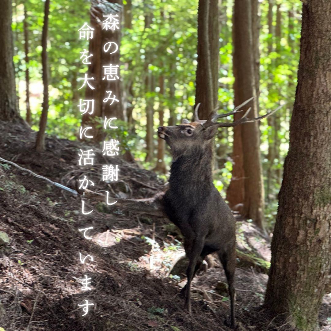送料込み‼️鹿あばらジャーキー1kg（100g×10袋）中小型犬向けサイズ
