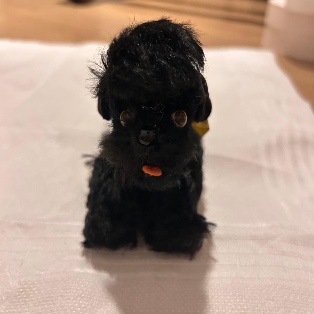シュタイフ 黒いプードルのSnobbyヴィンテージSteiff